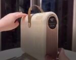 Shoe Dryer